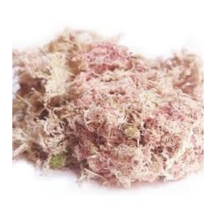 Musgo Rosa 80g FERTIJARDIN