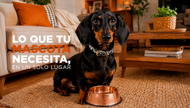 <strong>Todo para tu mascota</strong>