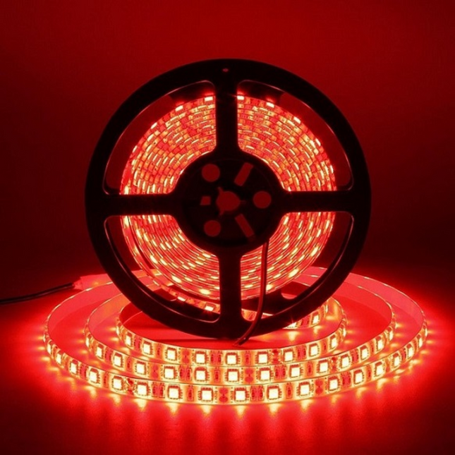 Tira Led 4.8W/12V 5m Rojo EMPALUX